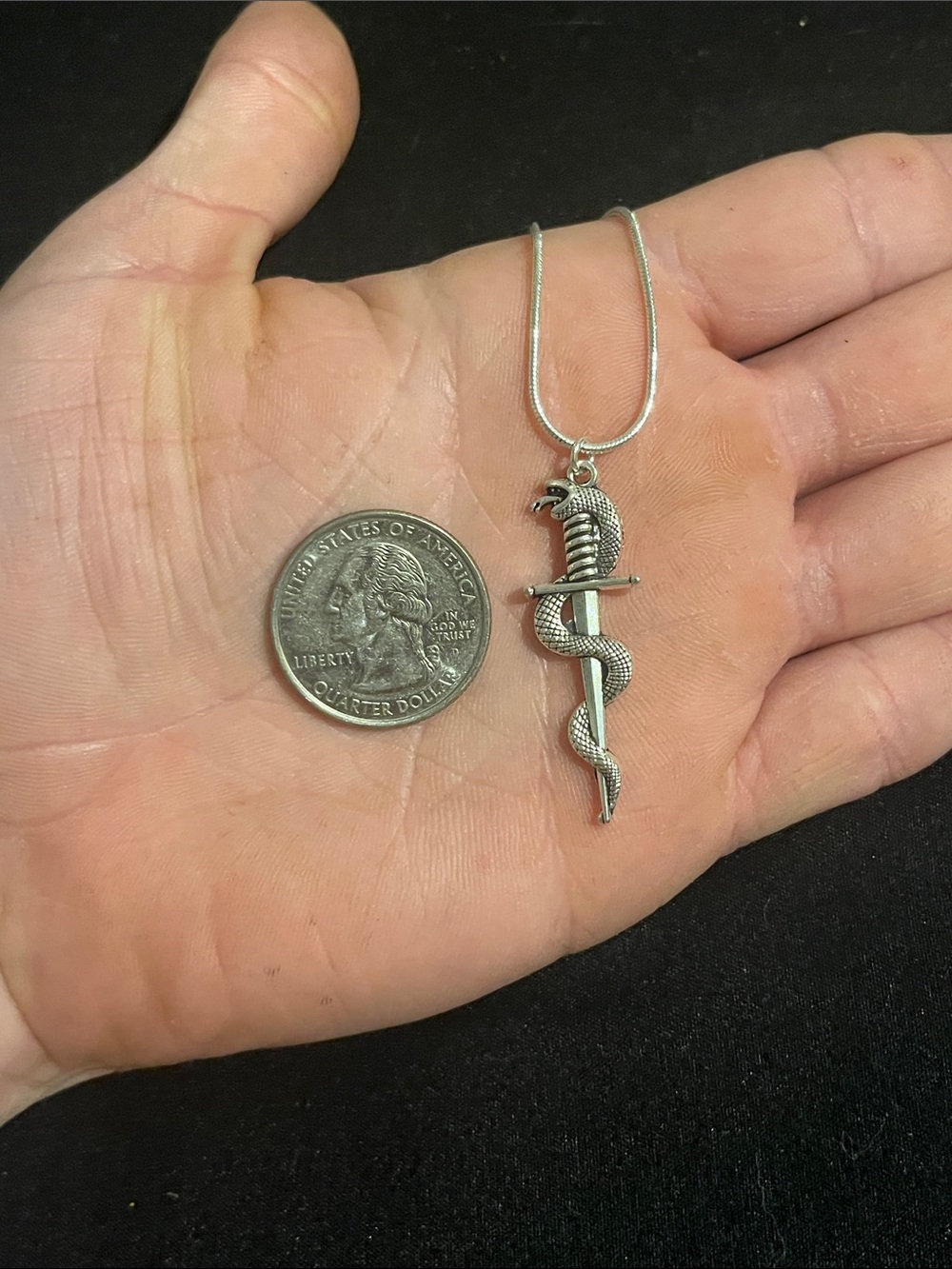 Sterling Silver Snake and Dagger Pendant Necklace - Silver